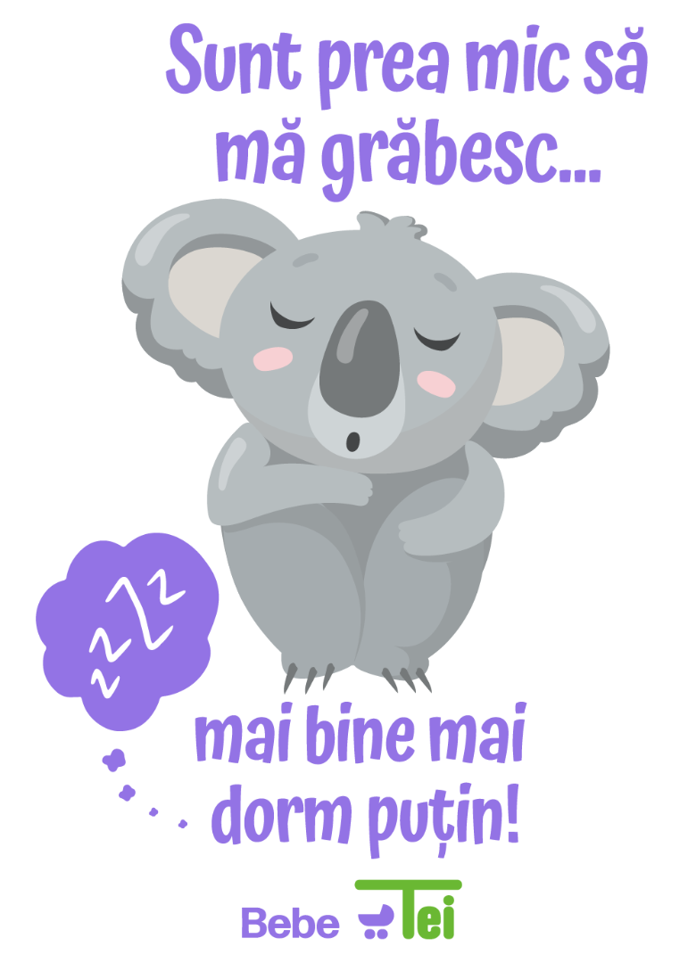 Koala Doing Gymnastics